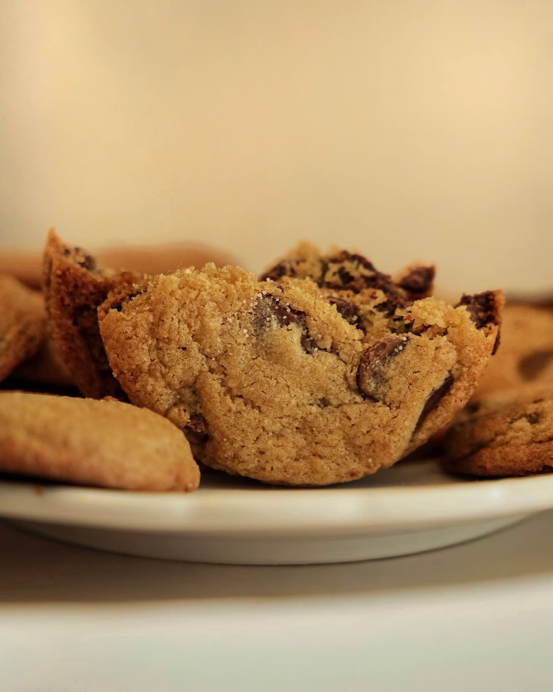 Reader review of the Album of Flavors cookbook 7