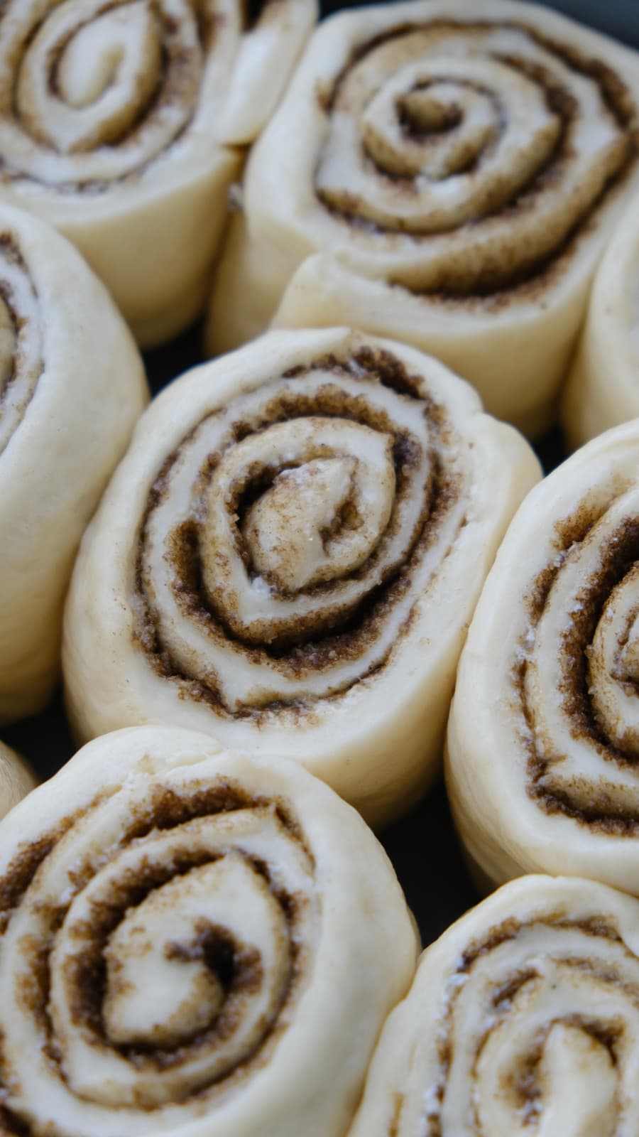 Dessert from the Album of Flavors cookbook
